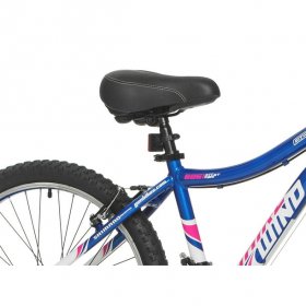 Genesis 24 In. Whirlwind Girl's Mountain Bike, Blue